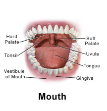 Dental Injury1