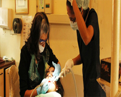 Dental Patient