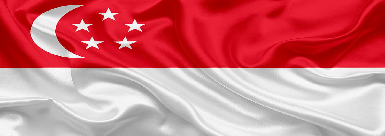 Singapore-Banner